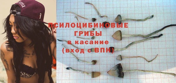 гидра Алзамай