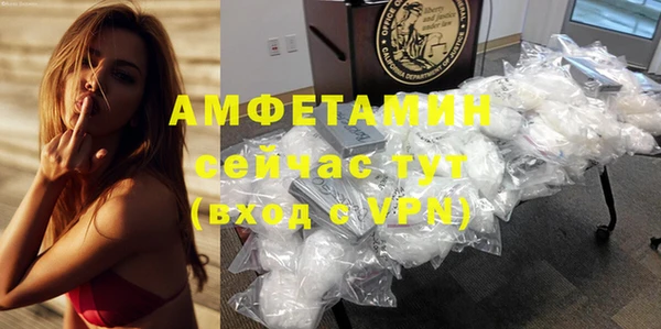 прущие грибы Пересвет