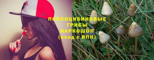 гидра Алзамай