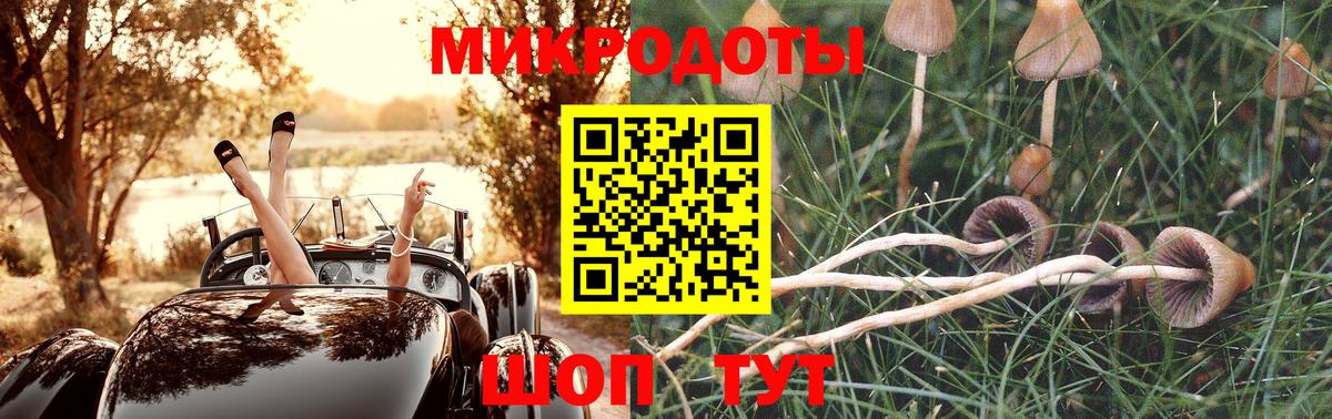 Галлюциногенные грибы мицелий Сосновый Бор